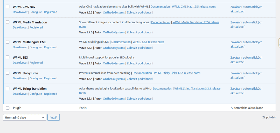 WPML Error 04 |