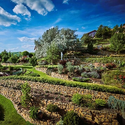 Odolná a pestrá zahrada s terasami, stromy a květinami v Brně, ideální místo pro odpočinek a relaxaci v přírodě.