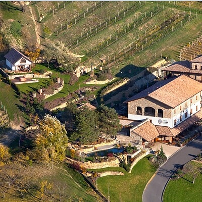 Bird's-eye view of BrnoOpen wine estate with vineyards, lush gardens, and modern wine tasting facility in a scenic rural setting.