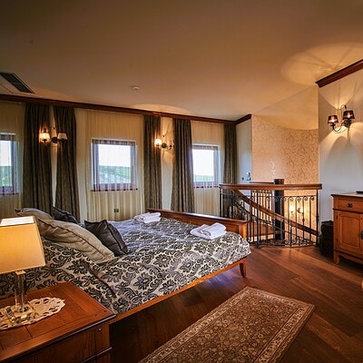 ALT text: Elegantní pokoj v hotelu BrnoOpen s velkou postelí, televize, stylovým nábytkem a výhledem na přírodu, ideální pro relaxaci v Brně.